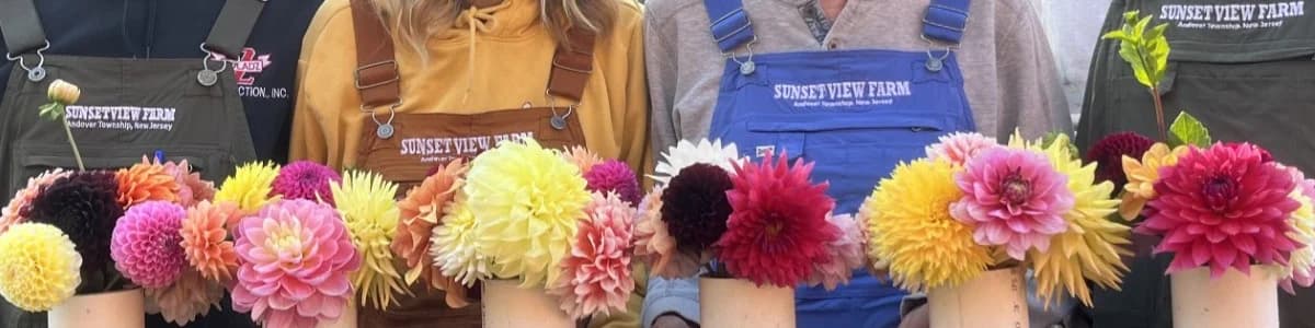 Sunset View Farm Dahlias